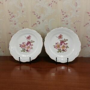 2 Schumann Arzberg Briar Rose Dinner Plates Gold Trim Bavaria Germany 1950s